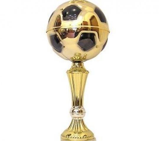 Увага!!! Кубок 2013