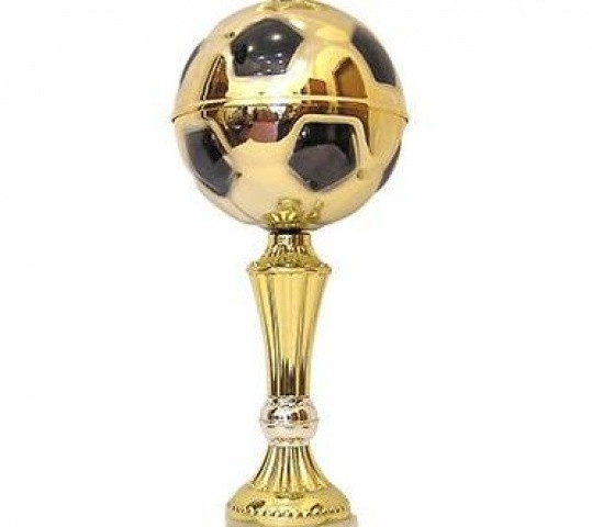 Увага!!! Кубок 2013