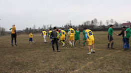 на кубку Співдружності