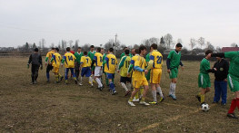 на кубку Співдружності