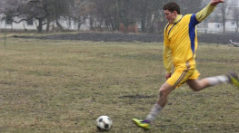 на кубку Співдружності