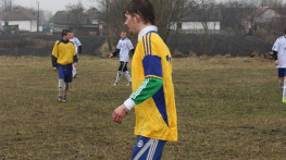 на кубку Співдружності