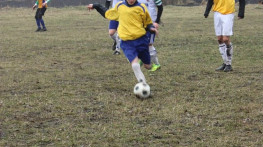 на кубку Співдружності