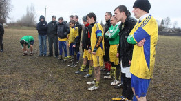 на кубку Співдружності